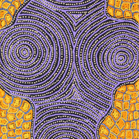 Aboriginal Artwork by Kirsty Anne Napanangka Martin, Mina Mina Jukurrpa - Ngalyipi, 183x46cm