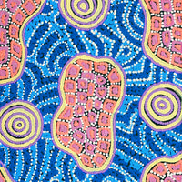 Aboriginal Artwork by Kirsty-Anne Napanangka Martin, Mina Mina Jukurrpa - Ngalyipi, 122x30cm