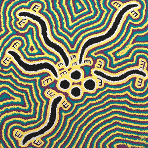Aboriginal Artwork by Kylie Napangardi Williams, Brush-tailed Possum Dreaming - Yulumparani, 30x30cm - ART ARK®
