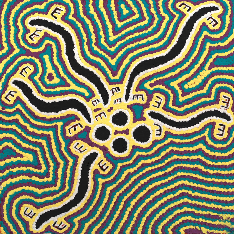 Aboriginal Artwork by Kylie Napangardi Williams, Brush-tailed Possum Dreaming - Yulumparani, 30x30cm