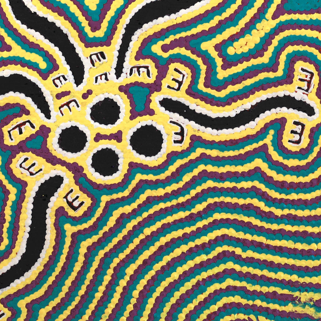 Aboriginal Artwork by Kylie Napangardi Williams, Brush-tailed Possum Dreaming - Yulumparani, 30x30cm