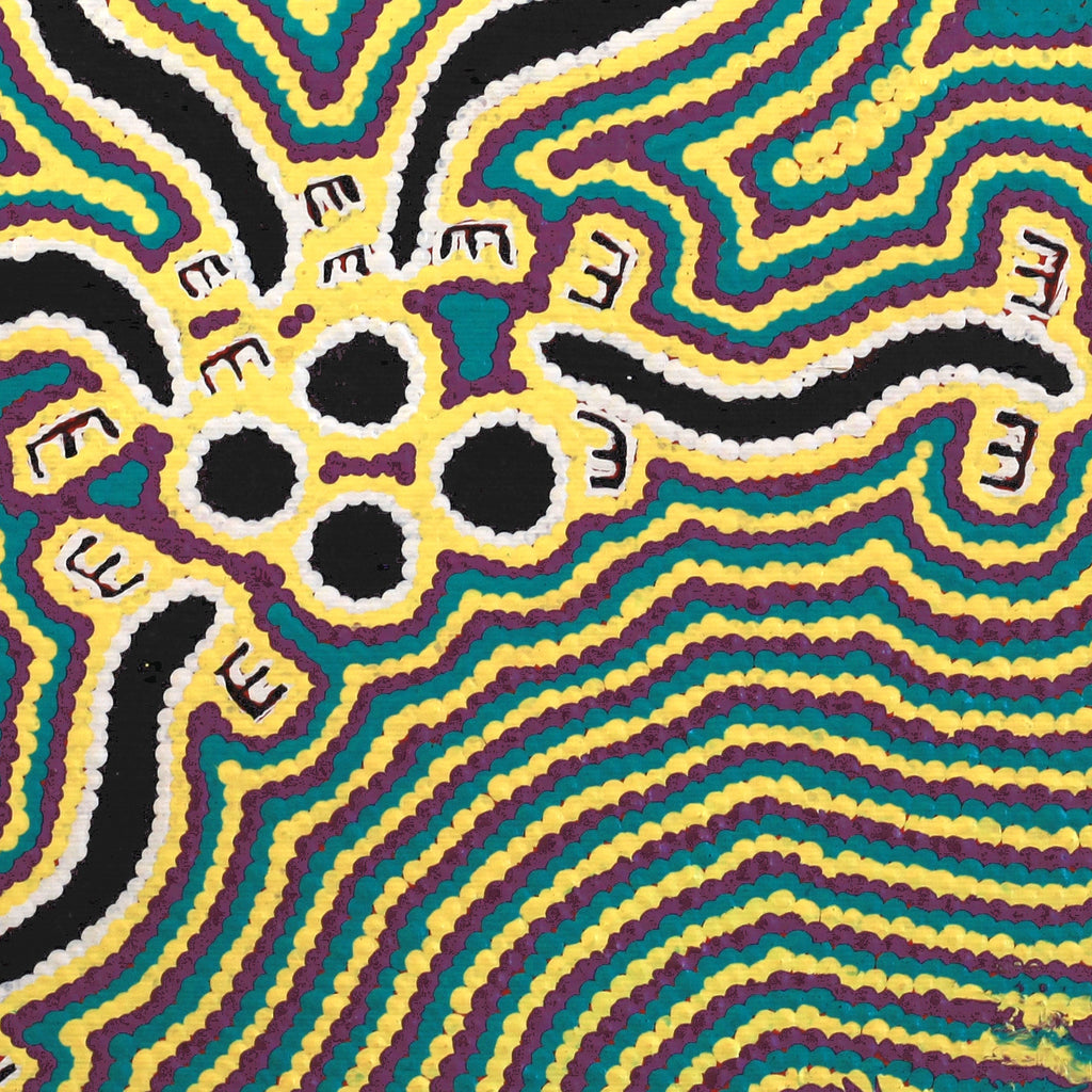 Aboriginal Artwork by Kylie Napangardi Williams, Brush-tailed Possum Dreaming - Yulumparani, 30x30cm - ART ARK®