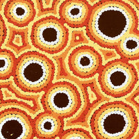 Aboriginal Artwork by Kylie Napangardi Williams, Yarla Jukurrpa (Bush Potato Dreaming) - Cockatoo Creek, 30x30cm