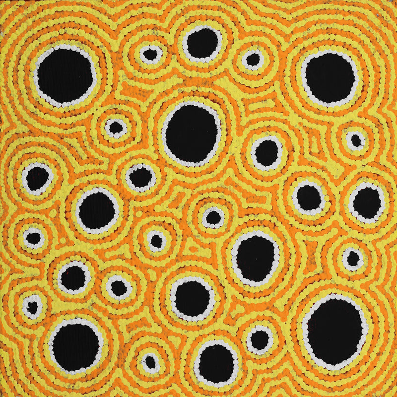 Aboriginal Artwork by Kylie Napangardi Williams, Yarla Jukurrpa (Bush Potato Dreaming) - Cockatoo Creek, 30x30cm