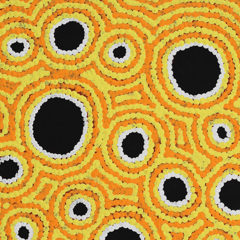 Aboriginal Artwork by Kylie Napangardi Williams, Yarla Jukurrpa (Bush Potato Dreaming) - Cockatoo Creek, 30x30cm