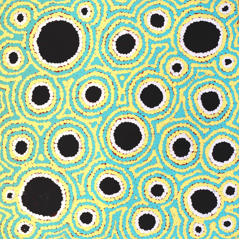 Aboriginal Artwork by Kylie Napangardi Williams, Yarla Jukurrpa (Bush Potato Dreaming) - Cockatoo Creek, 30x30cm