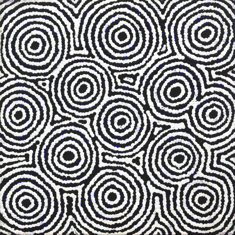 Aboriginal Art by Kylie Napangardi Williams, Yarla Jukurrpa (Bush Potato Dreaming) - Cockatoo Creek, 30x30cm - ART ARK®