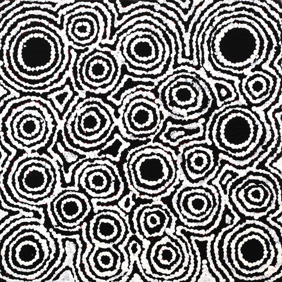 Aboriginal Art by Kylie Napangardi Williams, Yarla Jukurrpa (Bush Potato Dreaming) - Cockatoo Creek, 30x30cm - ART ARK®