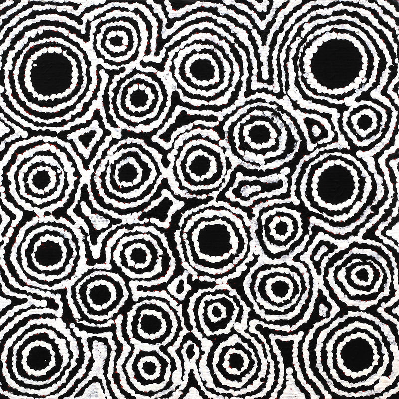 Aboriginal Artwork by Kylie Napangardi Williams, Yarla Jukurrpa (Bush Potato Dreaming) - Cockatoo Creek, 30x30cm