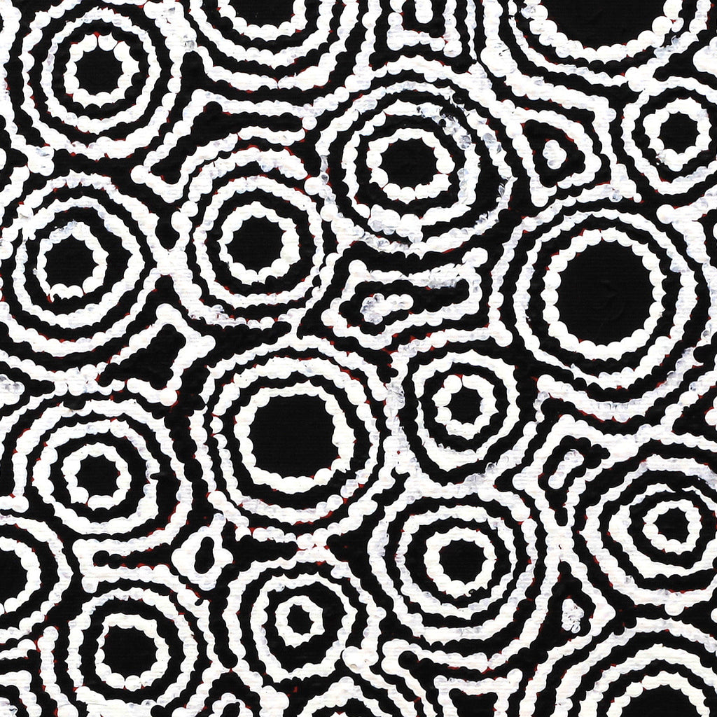 Aboriginal Artwork by Kylie Napangardi Williams, Yarla Jukurrpa (Bush Potato Dreaming) - Cockatoo Creek, 30x30cm