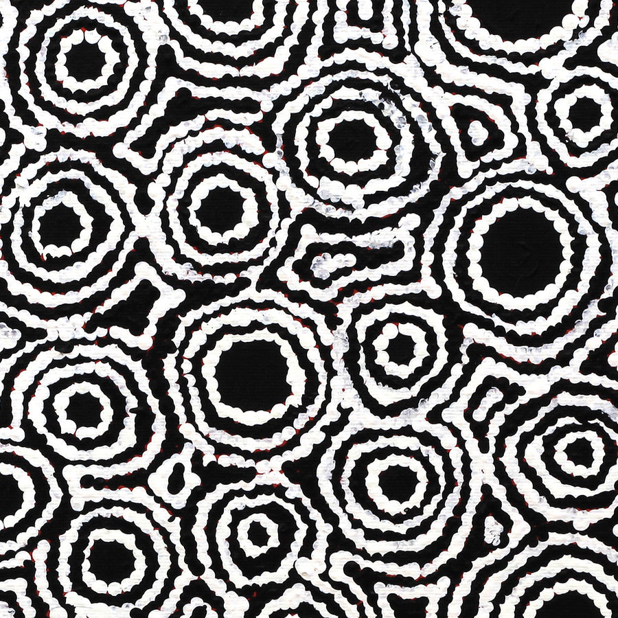 Aboriginal Artwork by Kylie Napangardi Williams, Yarla Jukurrpa (Bush Potato Dreaming) - Cockatoo Creek, 30x30cm