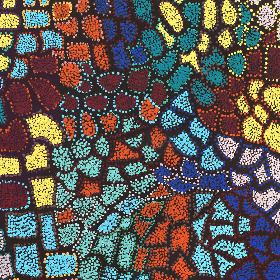 Aboriginal Artwork by Laketta Nampijinpa Turner, Pamapardu Jukurrpa - Warntungurru, 107x76cm