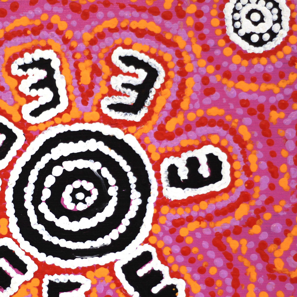 Aboriginal Artwork by Laketta Nampijinpa Turner, Janganpa Jukurrpa (Brush-tail Possum Dreaming)- Mawurrji, 30x30cm