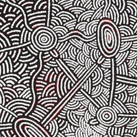 Aboriginal Artwork by Leah Nampijinpa Sampson, Ngapa Jukurrpa - Pirlinyarnu, 107x46cm