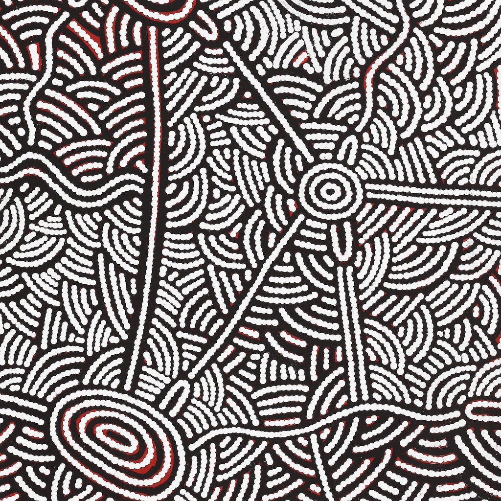 Aboriginal Artwork by Leah Nampijinpa Sampson, Ngapa Jukurrpa - Pirlinyarnu, 107x46cm