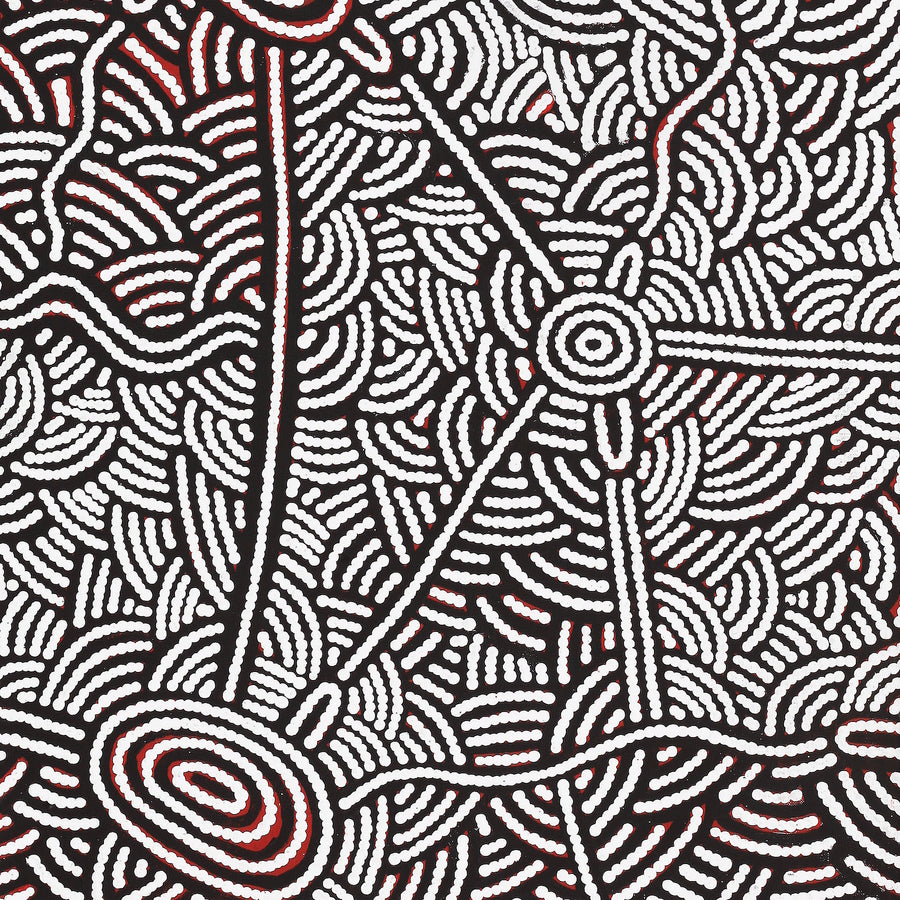 Aboriginal Artwork by Leah Nampijinpa Sampson, Ngapa Jukurrpa - Pirlinyarnu, 107x46cm