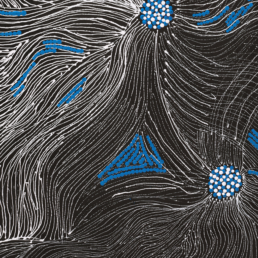 Aboriginal Artwork by Leah Nampijinpa Sampson, Ngapa Jukurrpa - Pirlinyarnu, 76x46cm