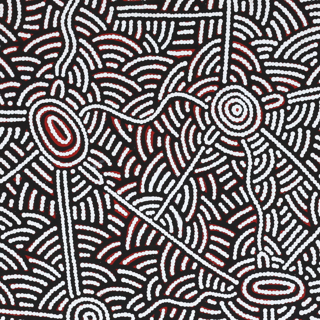 Aboriginal Artwork by Leah Nampijinpa Sampson, Ngapa Jukurrpa - Pirlinyarnu, 76x61cm