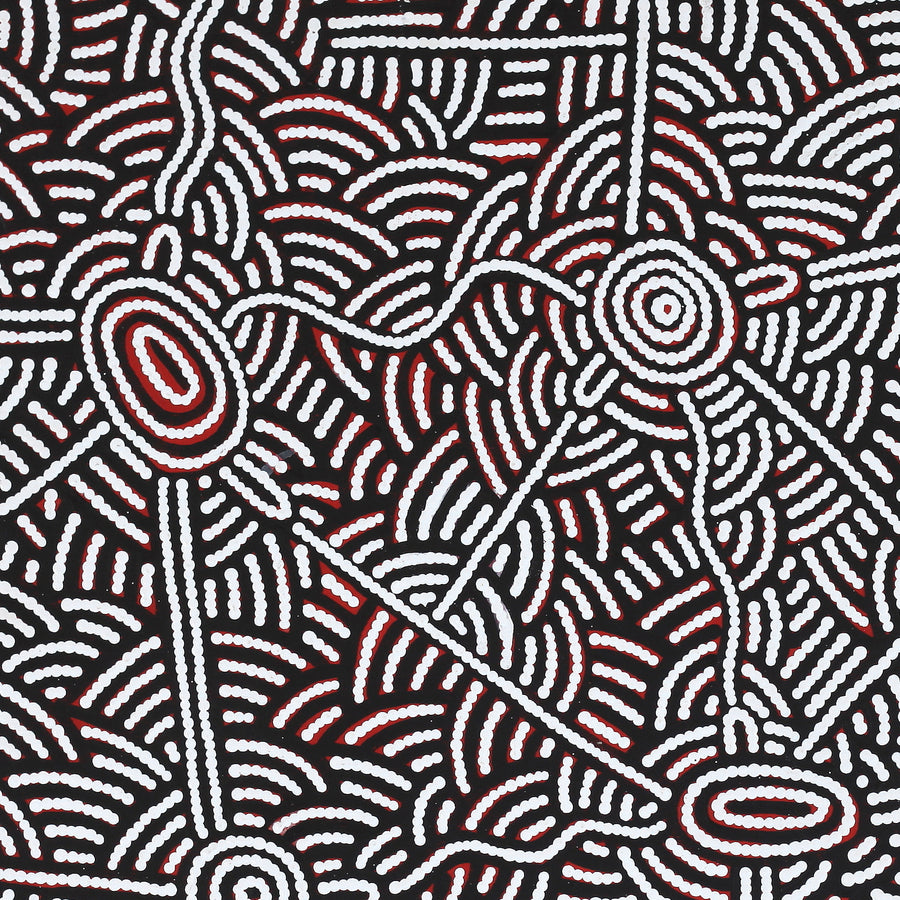Aboriginal Artwork by Leah Nampijinpa Sampson, Ngapa Jukurrpa - Pirlinyarnu, 76x61cm