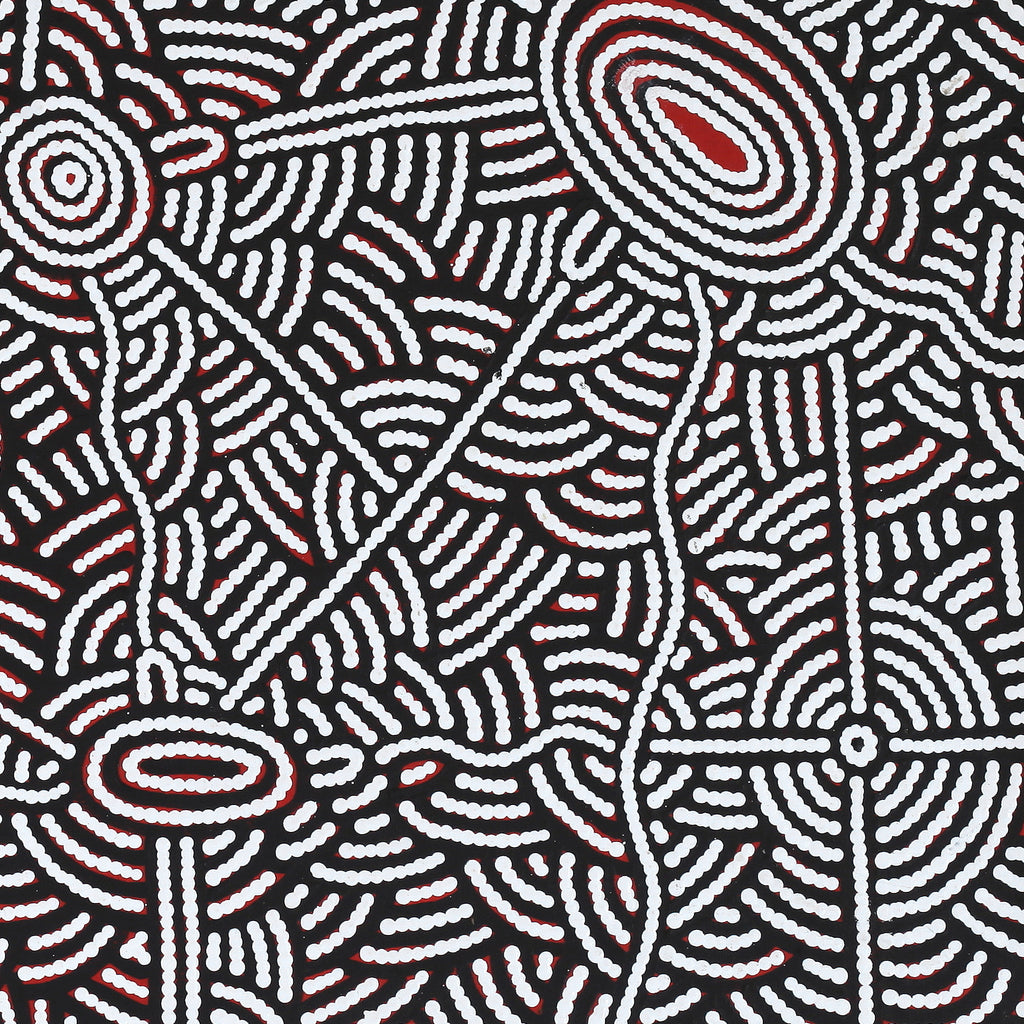 Aboriginal Artwork by Leah Nampijinpa Sampson, Ngapa Jukurrpa - Pirlinyarnu, 76x61cm