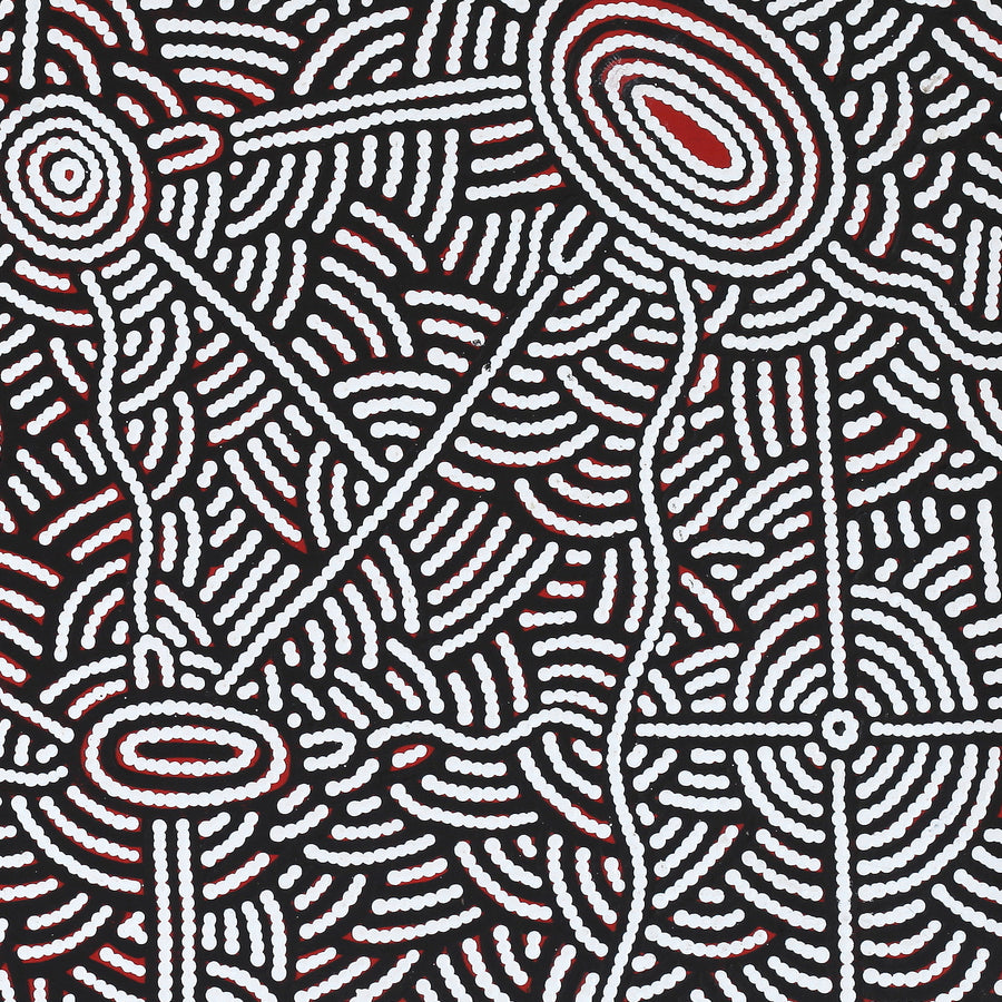 Aboriginal Artwork by Leah Nampijinpa Sampson, Ngapa Jukurrpa - Pirlinyarnu, 76x61cm