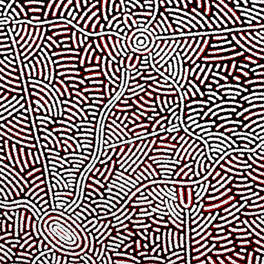 Aboriginal Artwork by Leah Nampijinpa Sampson, Ngapa Jukurrpa - Pirlinyarnu, 107x46cm