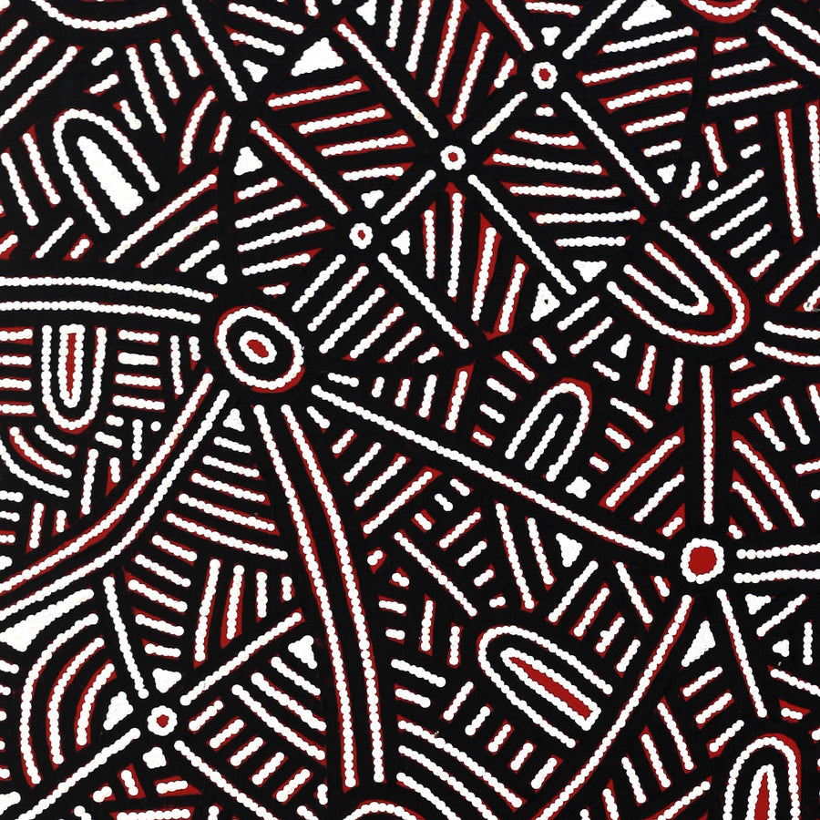 Aboriginal Artwork by Leah Nampijinpa Sampson, Ngapa Jukurrpa - Puyurru, 107x46cm