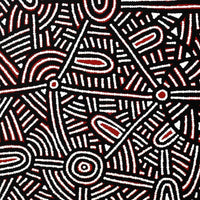 Aboriginal Artwork by Leah Nampijinpa Sampson, Ngapa Jukurrpa - Puyurru, 107x46cm