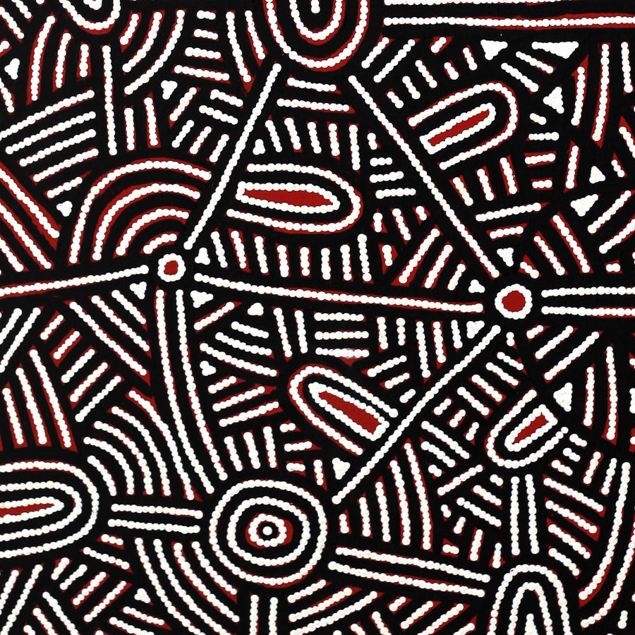 Aboriginal Artwork by Leah Nampijinpa Sampson, Ngapa Jukurrpa - Puyurru, 107x46cm