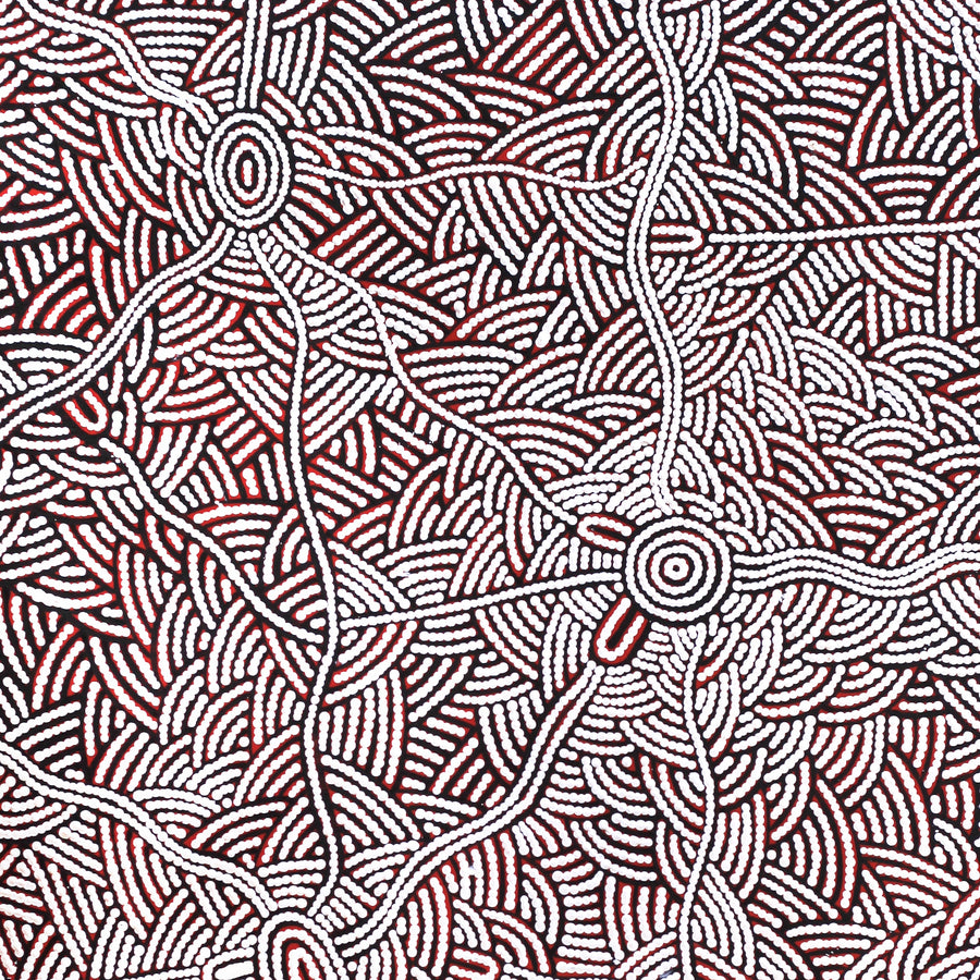 Aboriginal Artwork by Leah Nampijinpa Sampson, Ngapa Jukurrpa - Pirlinyarnu, 107x61cm