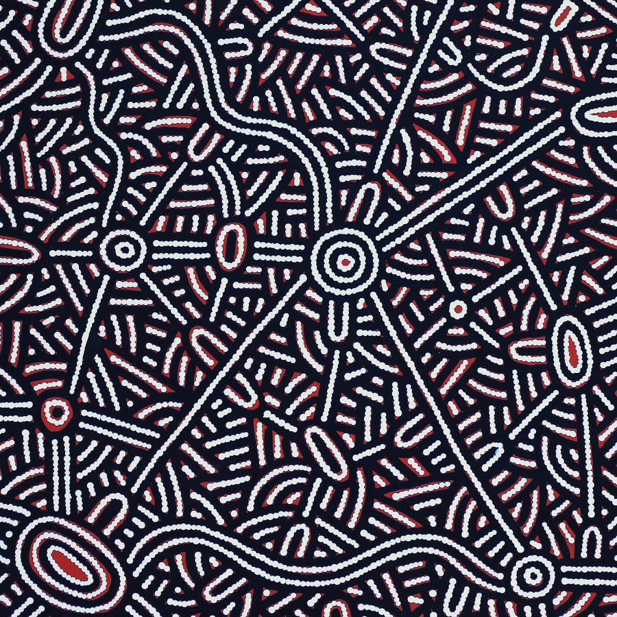 Aboriginal Artwork by Leah Nampijinpa Sampson, Ngapa Jukurrpa - Puyurru, 122x61cm