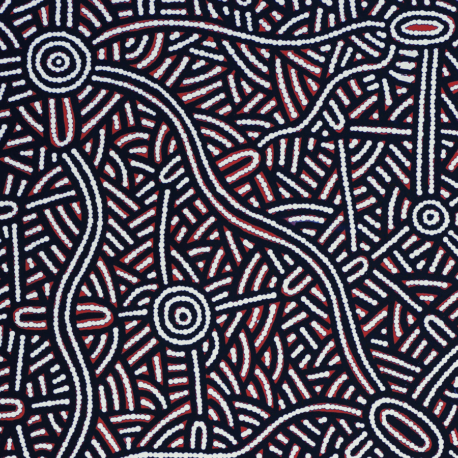 Aboriginal Artwork by Leah Nampijinpa Sampson, Ngapa Jukurrpa - Puyurru, 122x61cm