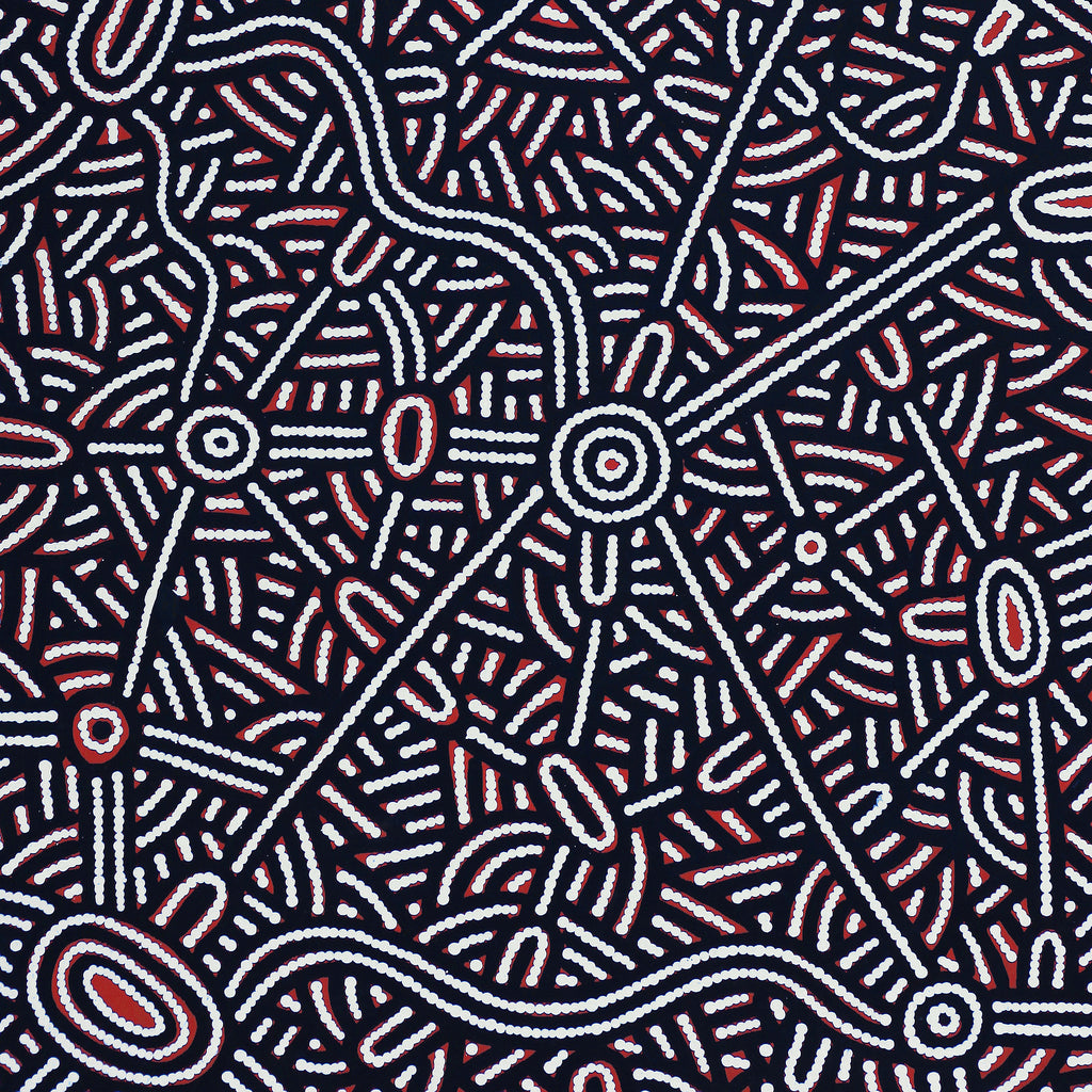 Aboriginal Art by Leah Nampijinpa Sampson, Ngapa Jukurrpa  - Puyurru, 122x61cm - ART ARK®