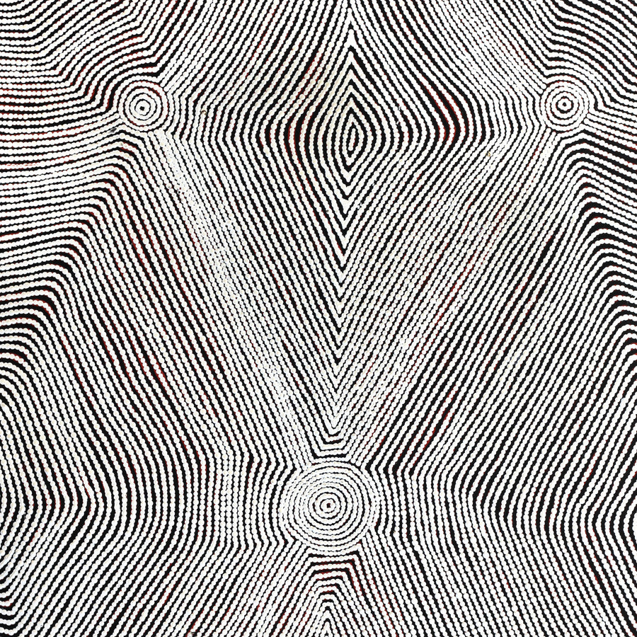 Aboriginal Artwork by Leah Nampijinpa Sampson, Ngapa Jukurrpa (Water Dreaming) - Pirlinyarnu, 122x76cm