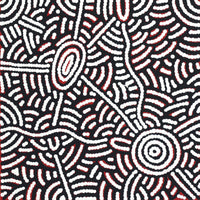 Aboriginal Artwork by Leah Nampijinpa Sampson, Ngapa Jukurrpa - Pirlinyarnu, 30x30cm