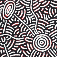 Aboriginal Artwork by Leah Nampijinpa Sampson, Ngapa Jukurrpa - Pirlinyarnu, 30x30cm