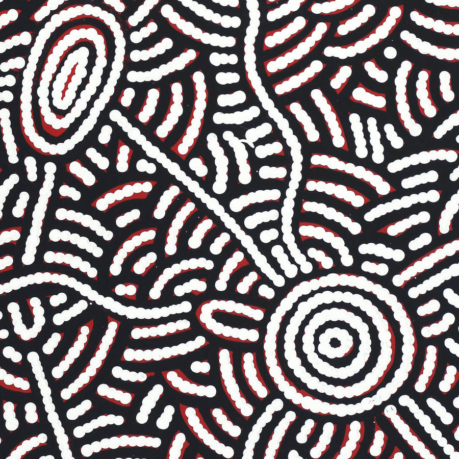 Aboriginal Artwork by Leah Nampijinpa Sampson, Ngapa Jukurrpa - Pirlinyarnu, 30x30cm