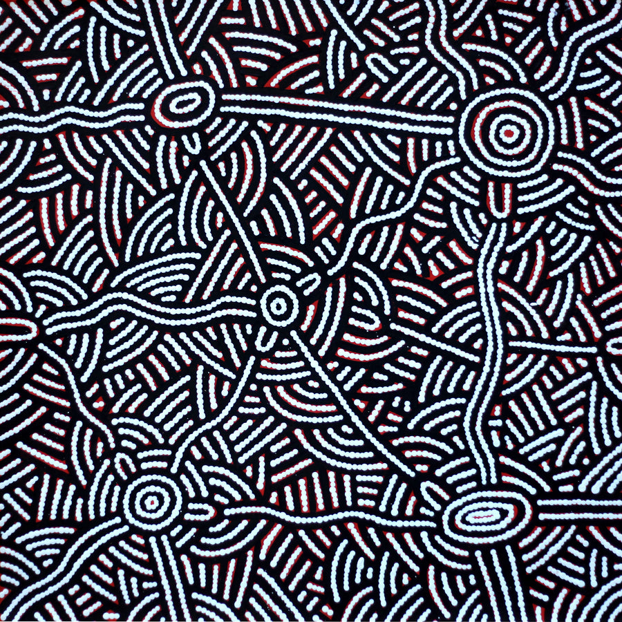 Aboriginal Artwork by Leah Nampijinpa Sampson, Ngapa Jukurrpa - Puyurru, 61x61cm