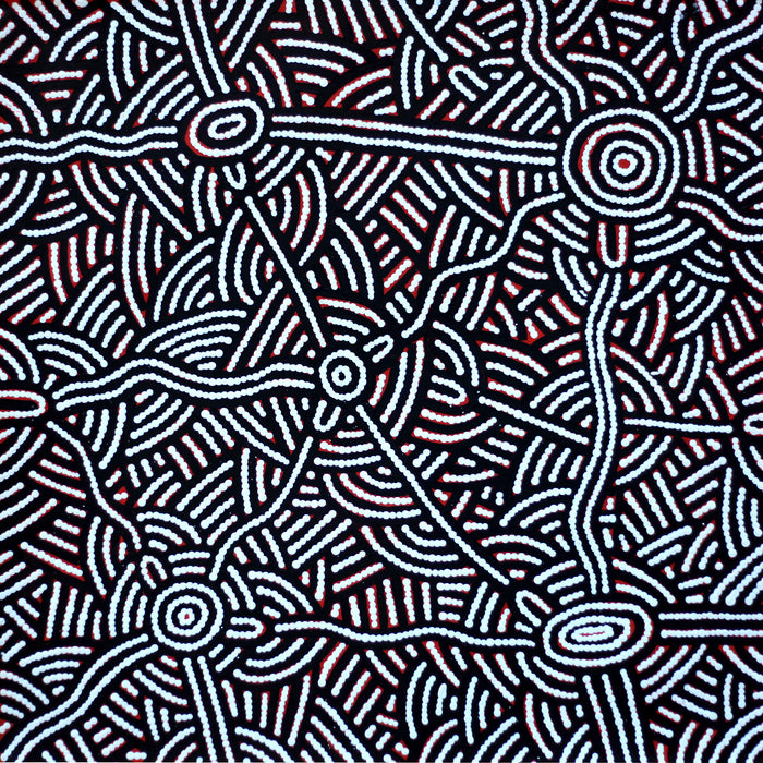 Aboriginal Art by Leah Nampijinpa Sampson, Ngapa Jukurrpa  - Puyurru, 61x61cm - ART ARK®