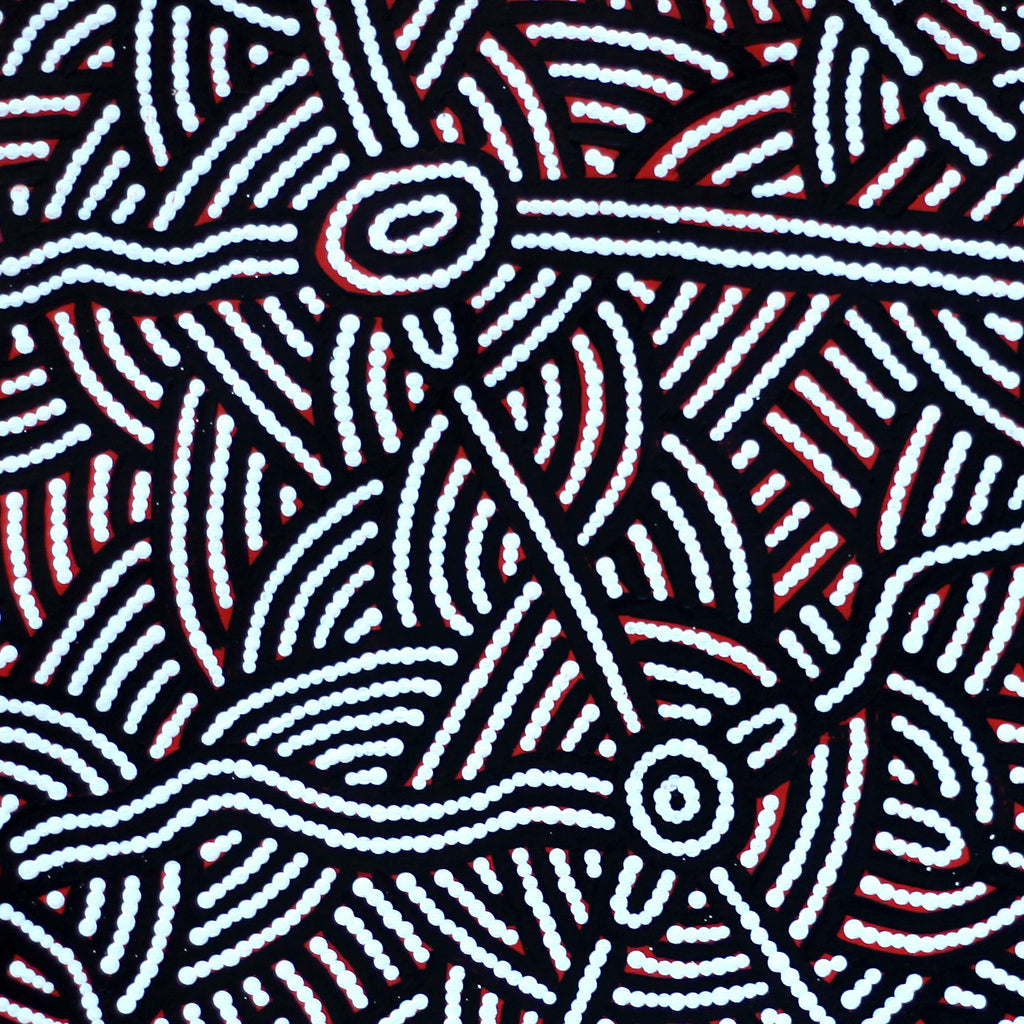 Aboriginal Artwork by Leah Nampijinpa Sampson, Ngapa Jukurrpa - Puyurru, 61x61cm