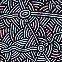 Aboriginal Artwork by Leah Nampijinpa Sampson, Ngapa Jukurrpa - Puyurru, 61x61cm