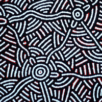 Aboriginal Artwork by Leah Nampijinpa Sampson, Ngapa Jukurrpa - Puyurru, 61x61cm