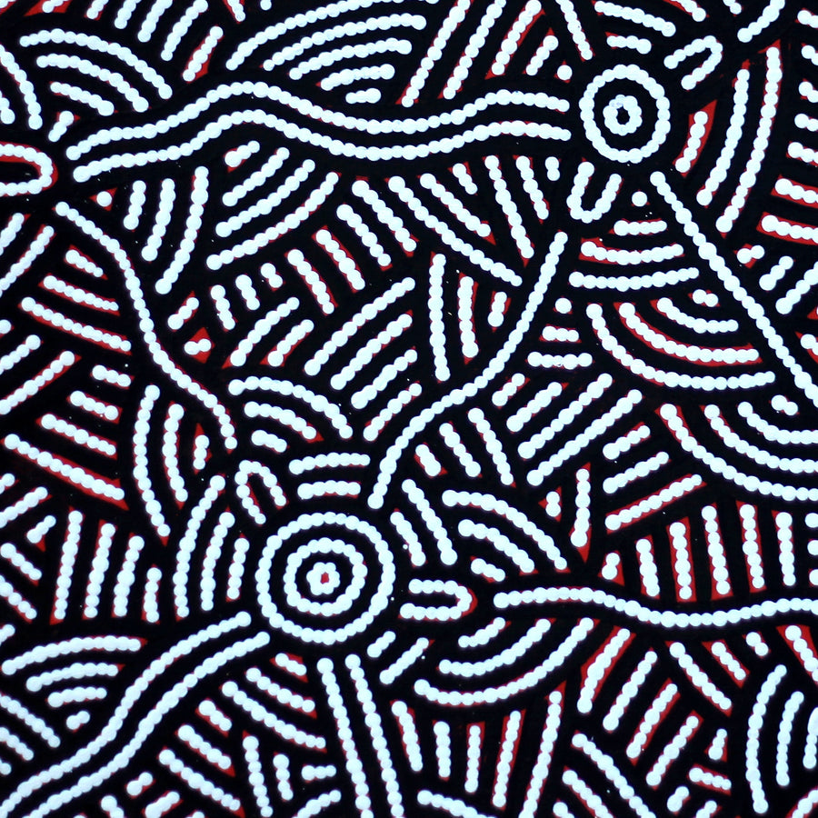 Aboriginal Artwork by Leah Nampijinpa Sampson, Ngapa Jukurrpa - Puyurru, 61x61cm
