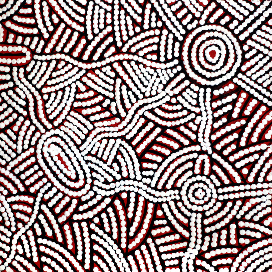 Aboriginal Artwork by Leah Nampijinpa Sampson, Ngapa Jukurrpa - Puyurru, 30x30cm