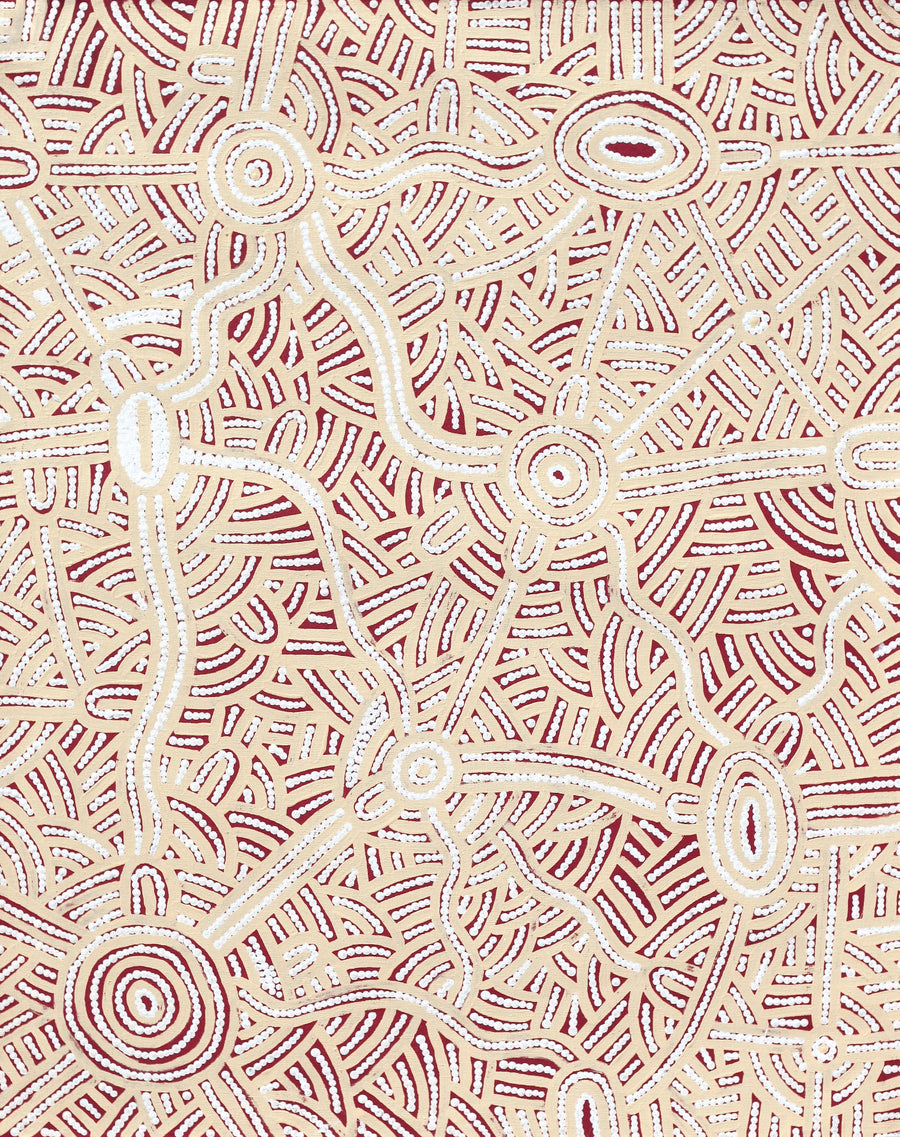 Aboriginal Artwork by Leah Nampijinpa Sampson, Ngapa Jukurrpa - Puyurru, 76x61cm