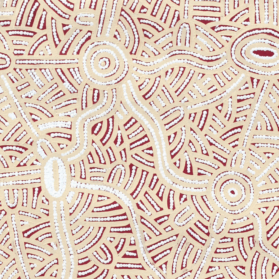 Aboriginal Artwork by Leah Nampijinpa Sampson, Ngapa Jukurrpa - Puyurru, 76x61cm