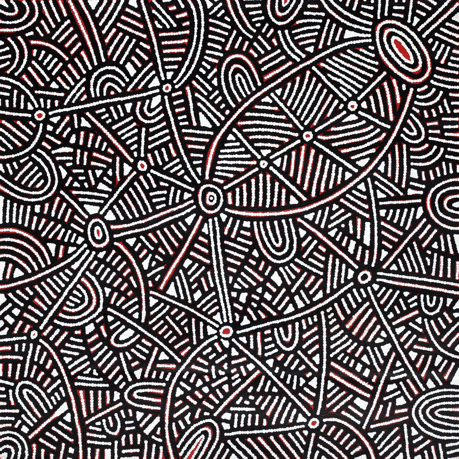 Aboriginal Artwork by Leah Nampijinpa Sampson, Ngapa Jukurrpa - Puyurru, 76x76cm