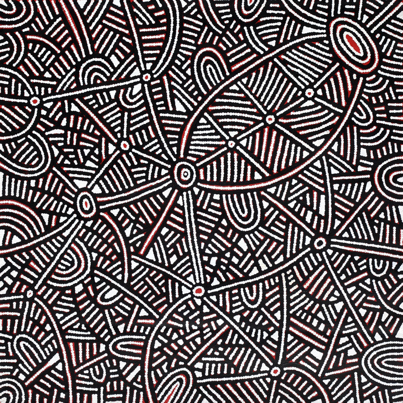 Aboriginal Artwork by Leah Nampijinpa Sampson, Ngapa Jukurrpa - Puyurru, 76x76cm