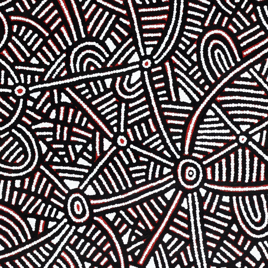 Aboriginal Artwork by Leah Nampijinpa Sampson, Ngapa Jukurrpa - Puyurru, 76x76cm