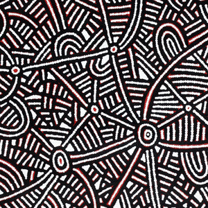 Aboriginal Artwork by Leah Nampijinpa Sampson, Ngapa Jukurrpa - Puyurru, 76x76cm - ART ARK®